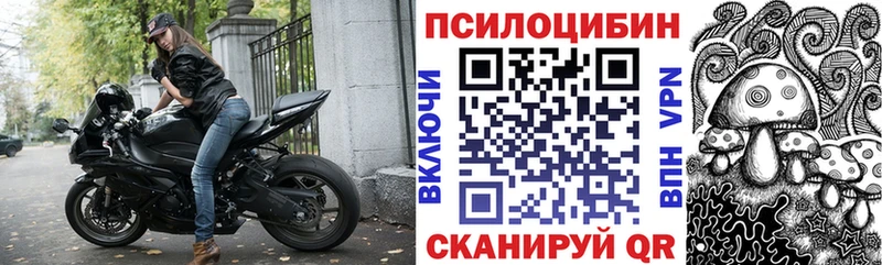 Псилоцибиновые грибы Psilocybe  Карабаново 